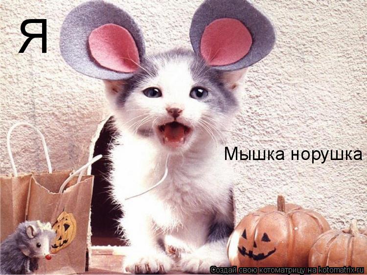Я Мышка норушка... Котоматрица: Я Мышка норушка