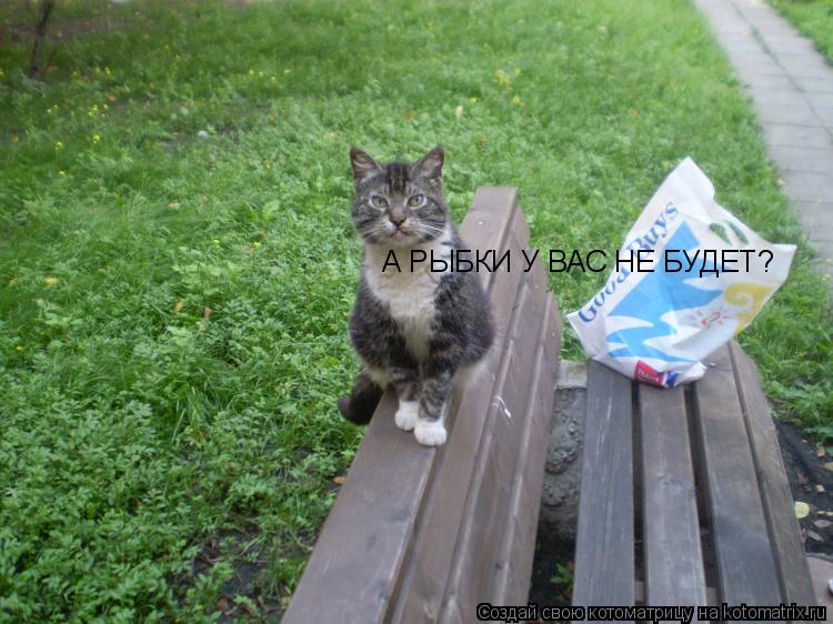 А РЫБКИ У ВАС НЕ БУДЕТ?... Котоматрица: А РЫБКИ У ВАС НЕ БУДЕТ?