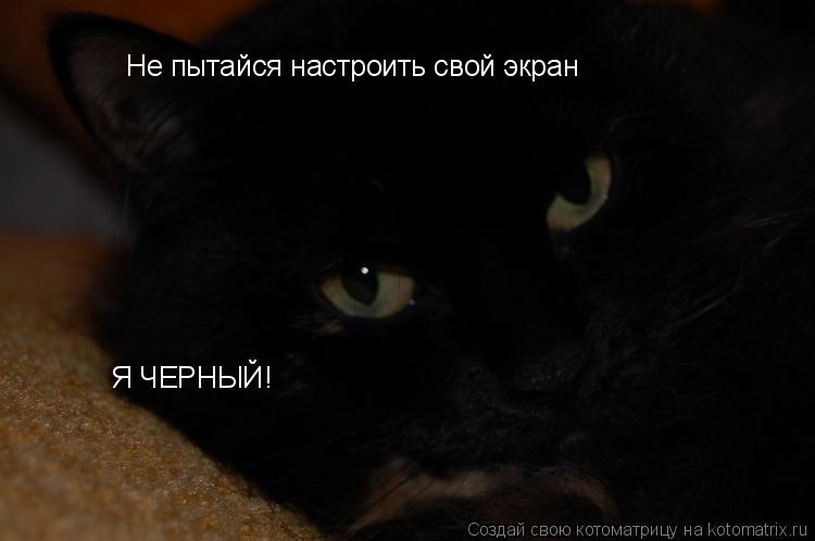 Не пытайся настроить свой экран Я ЧЕРНЫЙ!... Котоматрица: Не пытайся настроить свой экран Я ЧЕРНЫЙ!