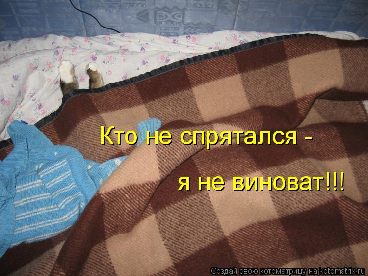 Кто не спрятался - я не виноват!!!... Котоматрица: Кто не спрятался - я не виноват!!!