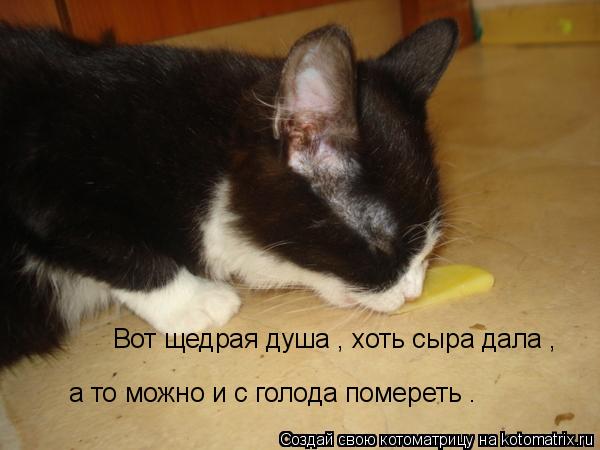 Котоматрица: а то можно и с голода помереть . Вот щедрая душа , хоть сыра дала ,