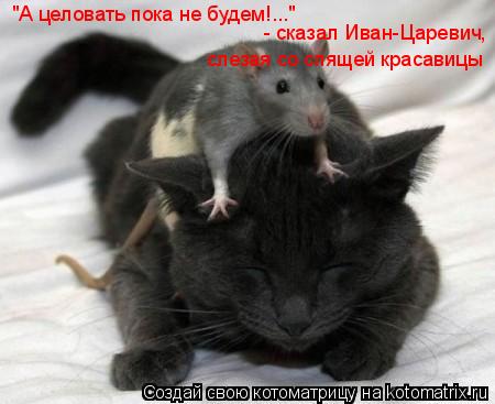 Котоматрица: "А целовать пока не будем!..."    - сказал Иван-Царевич, слезая со спящей красавицы