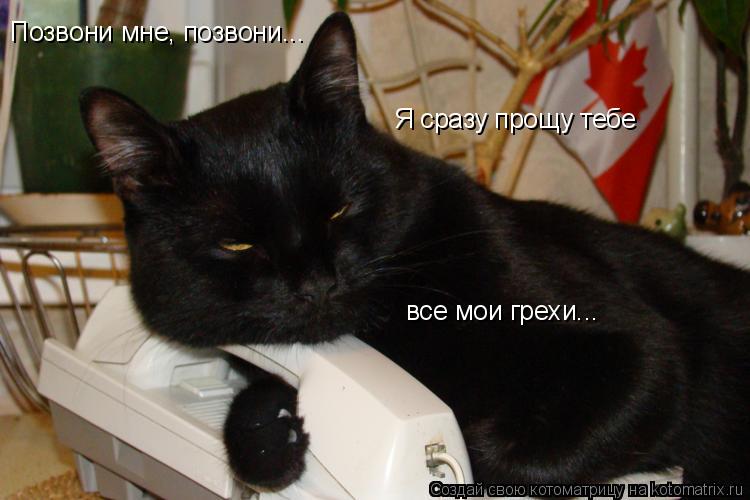 Позвони мне, позвони... Я сразу прощу тебе все мои грехи...... Котоматрица: Позвони мне, позвони... Я сразу прощу тебе все мои грехи...