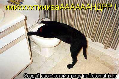 иииххххтиииааААААААНДРР !... Котоматрица: иииххххтиииааААААААНДРР !