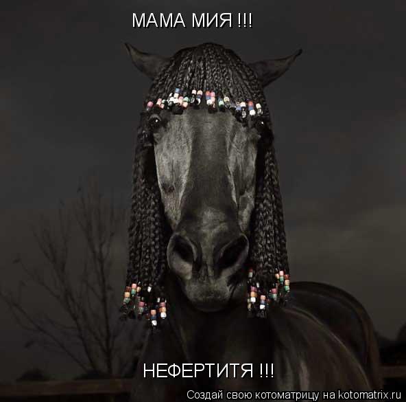 МАМА МИЯ !!! НЕФЕРТИТЯ !!!... Котоматрица: МАМА МИЯ !!! НЕФЕРТИТЯ !!!