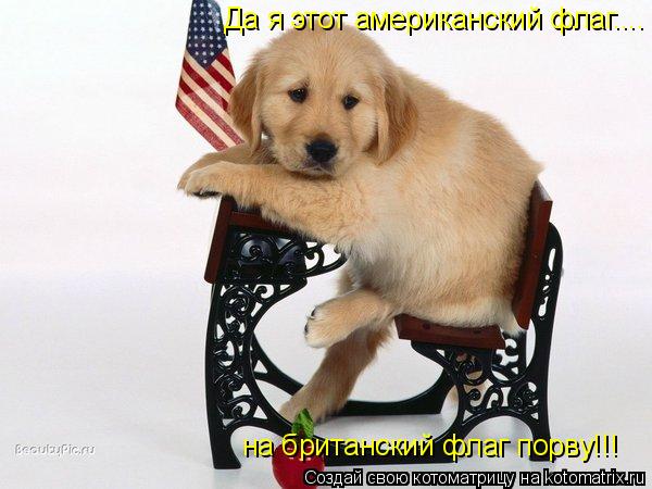 Да я этот американский флаг.... на британский флаг порву!!!... Котоматрица: Да я этот американский флаг.... на британский флаг порву!!!