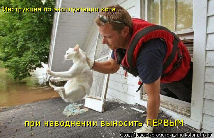 Инструкция по эксплуатации кота: при наводнении выносить ПЕРВЫМ... Котоматрица: Инструкция по эксплуатации кота: при наводнении выносить ПЕРВЫМ