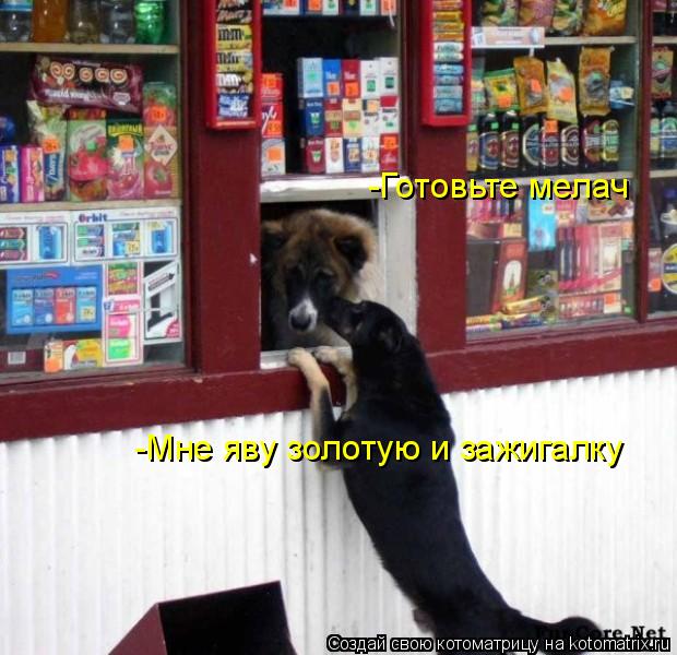 -Готовьте мелач -Мне яву золотую и зажигалку... Котоматрица: -Готовьте мелач -Мне яву золотую и зажигалку