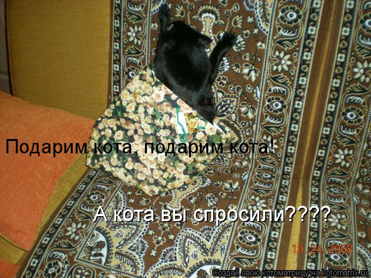 Подарим кота, подарим кота! А кота вы спросили????... Котоматрица: Подарим кота, подарим кота! А кота вы спросили????