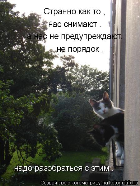 Странно как то , нас снимают . а нас не предупреждают. не порядок , надо разобраться с этим .... Котоматрица: Странно как то , нас снимают . а нас не предупреждают. не порядок , надо разобраться с этим .