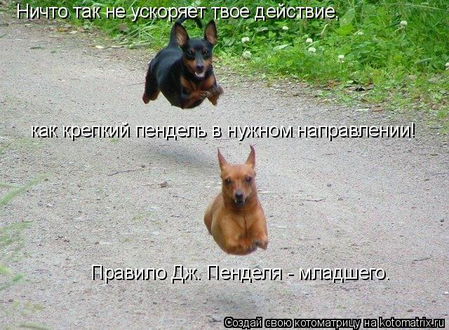 Ничто так не ускоряет твое действие, Ничто так не ускоряет твое действие, как крепкий пендель в нужно... Котоматрица: Ничто так не ускоряет твое действие, Ничто так не ускоряет твое действие, как крепкий пендель в нужном направлении! Правило Дж. Пенделя - мла
