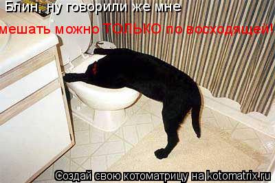 Котоматрица: Блин, ну говорили же мне  мешать можно ТОЛЬКО по восходящей!!