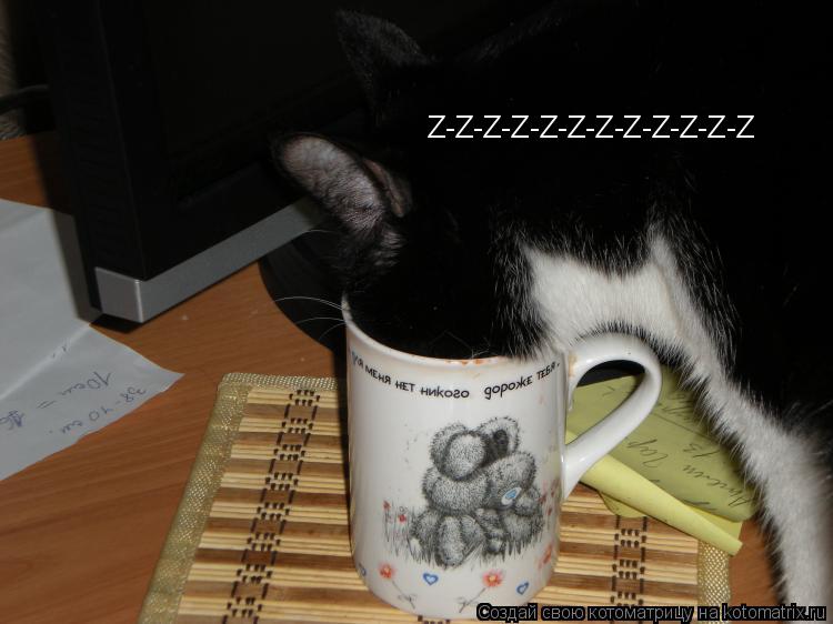 Z-Z-Z-Z-Z-Z-Z-Z-Z-Z-Z-Z... Котоматрица: Z-Z-Z-Z-Z-Z-Z-Z-Z-Z-Z-Z