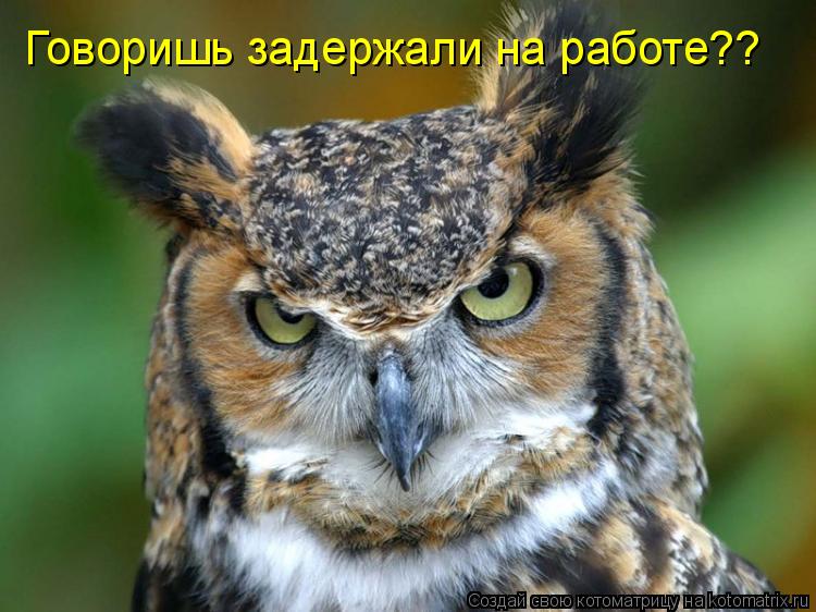 Говоришь задержали на работе??... Котоматрица: Говоришь задержали на работе??