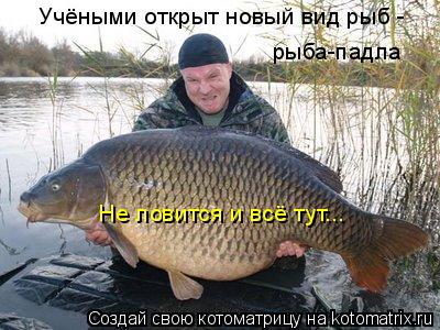 Учёными открыт новый вид рыб - рыба-падла Не ловится и всё тут...... Котоматрица: Учёными открыт новый вид рыб - рыба-падла Не ловится и всё тут...