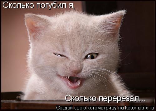 Котоматрица: Сколько погубил я, Сколько перерезал...