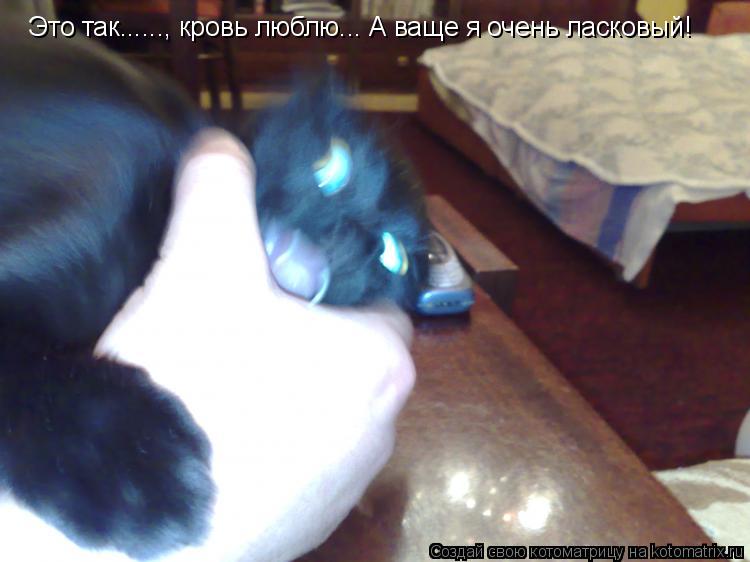Это так......, кровь люблю... А ваще я очень ласковый!... Котоматрица: Это так......, кровь люблю... А ваще я очень ласковый!