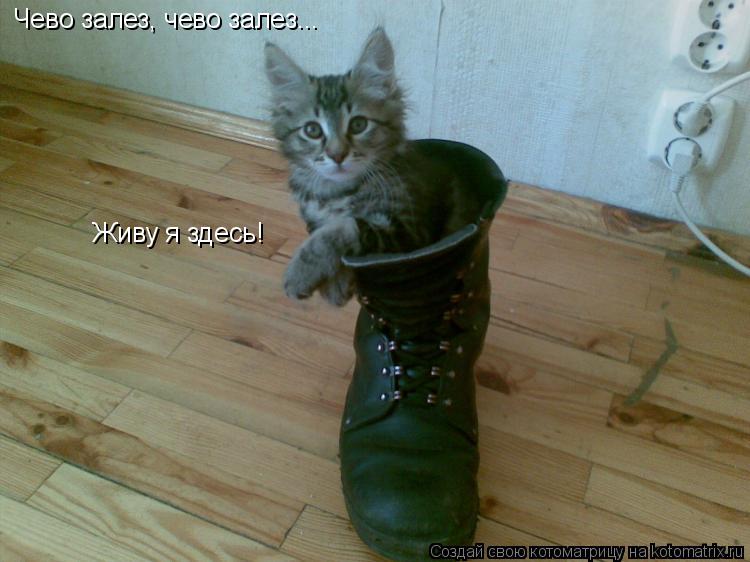 Котоматрица: Чево залез, чево залез... Живу я здесь!