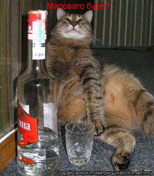 Котоматрица: Маловато будет!