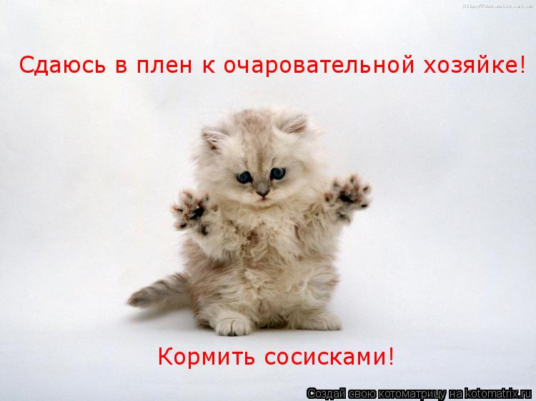 Котоматрица: Сдаюсь в плен к очаровательной хозяйке! Кормить сосисками!