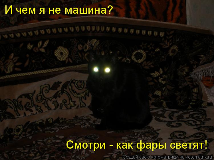 Котоматрица: И чем я не машина? Смотри - как фары светят!