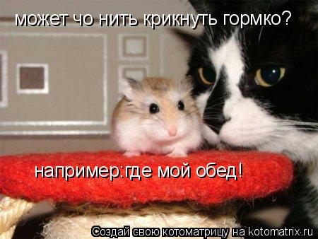 может чо нить крикнуть гормко? например:где мой обед!... Котоматрица: может чо нить крикнуть гормко? например:где мой обед!