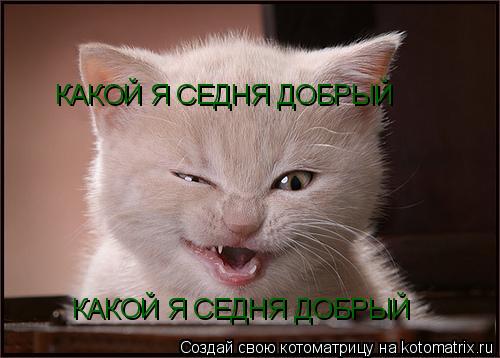 Котоматрица: КАКОЙ Я СЕДНЯ ДОБРЫЙ КАКОЙ Я СЕДНЯ ДОБРЫЙ