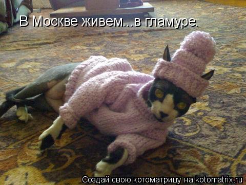 В Москве живем...в гламуре.... Котоматрица: В Москве живем...в гламуре.