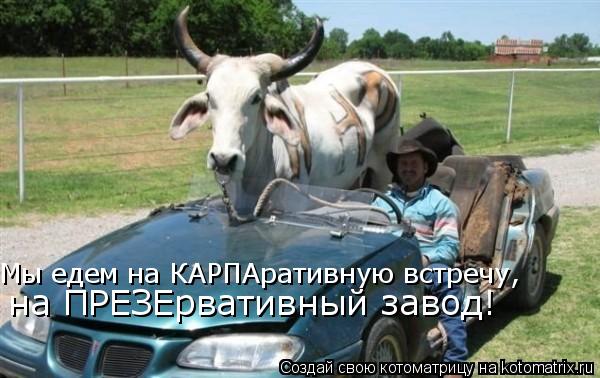 Котоматрица: Мы едем на КАРПАративную встречу,  на ПРЕЗЕрвативный завод!