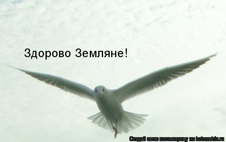 Котоматрица: Здорово Земляне!