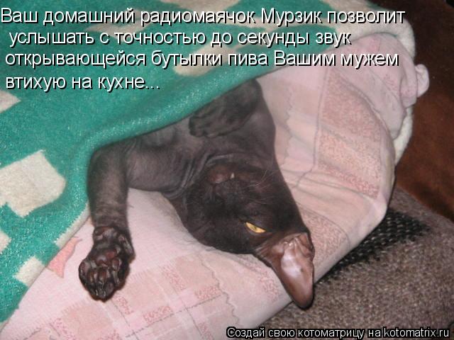 Котоматрица: Ваш домашний радиомаячок Мурзик позволит  услышать с точностью до секунды звук открывающейся бутылки пива Вашим мужем втихую на кухне...