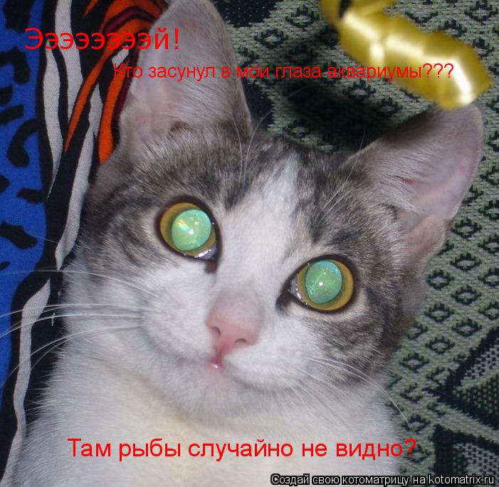 Котоматрица: Ээээээээй!  Кто засунул в мои глаза аквариумы??? Там рыбы случайно не видно?