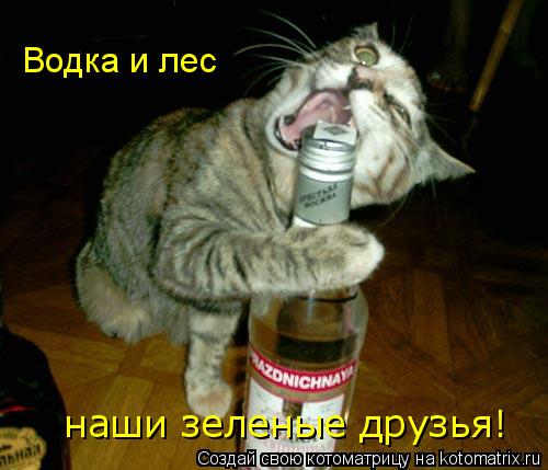 Водка и лес наши зеленые друзья!... Котоматрица: Водка и лес наши зеленые друзья!