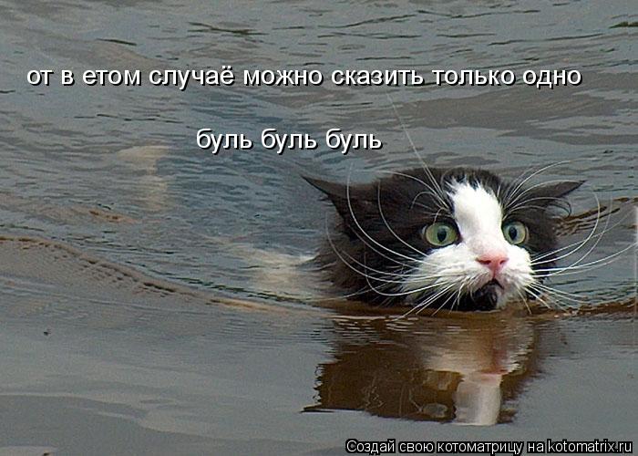 Котоматрица: от в етом случаё можно сказить только одно буль буль буль