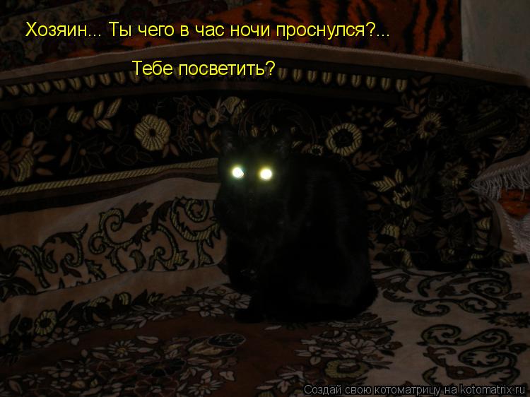 Хозяин... Ты чего в час ночи проснулся?... Тебе посветить?... Котоматрица: Хозяин... Ты чего в час ночи проснулся?... Тебе посветить?