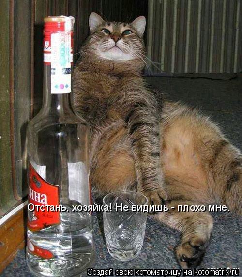 Котоматрица: Отстань, хозяйка! Не видишь - плохо мне.