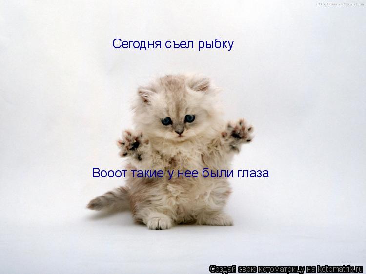 Сегодня съел рыбку Вооот такие у нее были глаза... Котоматрица: Сегодня съел рыбку Вооот такие у нее были глаза