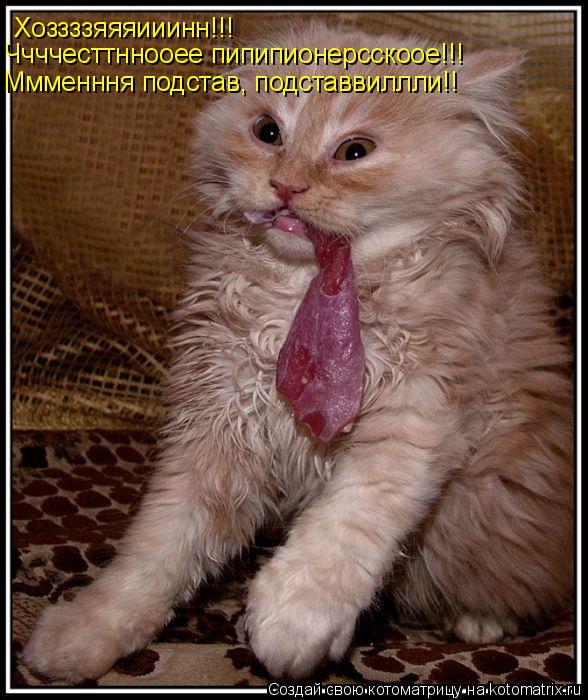 Котоматрица: Хоззззяяяииинн!!! Ччччесттннооее пипипионерсскоое!!! Ммменння подстав, подставвиллли!!