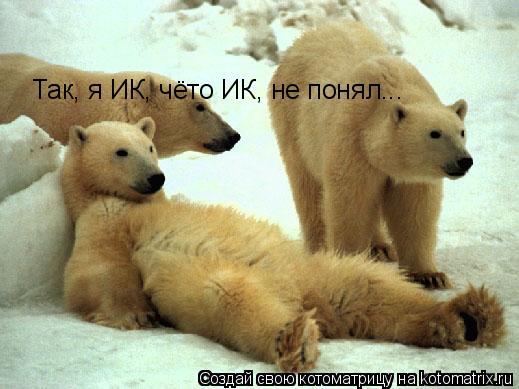 Котоматрица: Так, я ИК, чёто ИК, не понял...