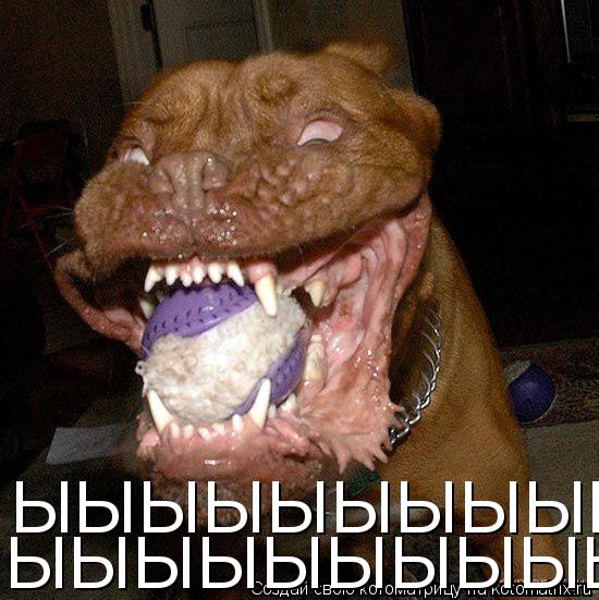 ЫЫЫЫЫЫЫЫЫЫЫЫЫЫЫ ЫЫЫЫЫЫЫЫЫЫЫЫЫЫЫ... Котоматрица: ЫЫЫЫЫЫЫЫЫЫЫЫЫЫЫ ЫЫЫЫЫЫЫЫЫЫЫЫЫЫЫ