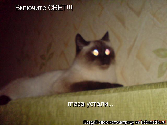 Включите СВЕТ!!! глаза устали...... Котоматрица: Включите СВЕТ!!! глаза устали...