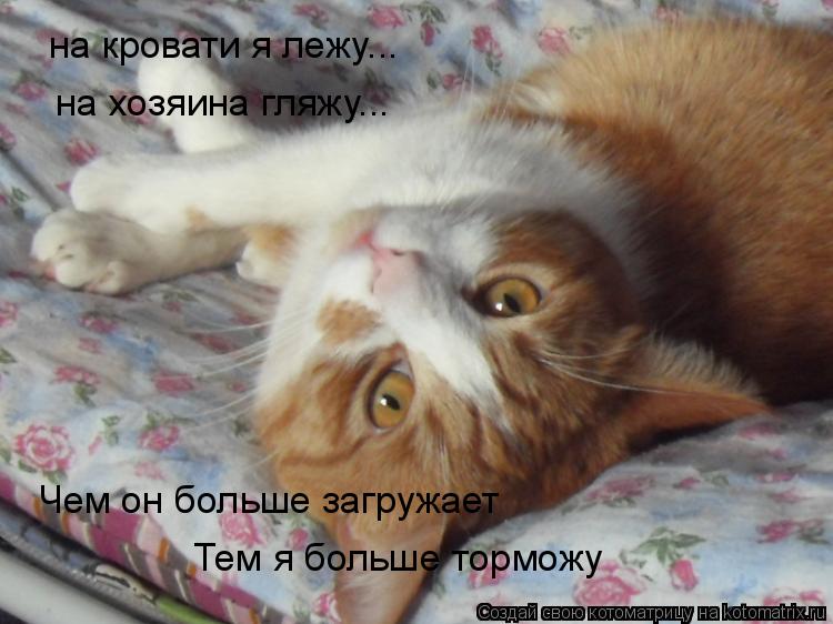 на кровати я лежу... на хозяина гляжу... Чем он больше загружает Тем я больше торможу... Котоматрица: на кровати я лежу... на хозяина гляжу... Чем он больше загружает Тем я больше торможу