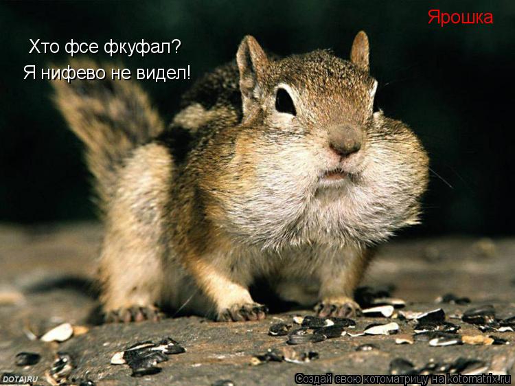 Хто фсе фкуфал? Я нифево не видел! Ярошка... Котоматрица: Хто фсе фкуфал? Я нифево не видел! Ярошка