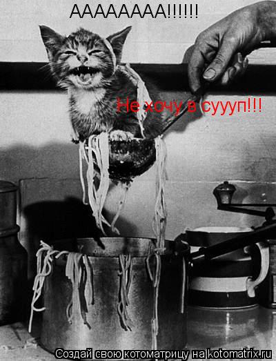 АААААААА!!!!!! Не хочу в суууп!!!... Котоматрица: АААААААА!!!!!! Не хочу в суууп!!!