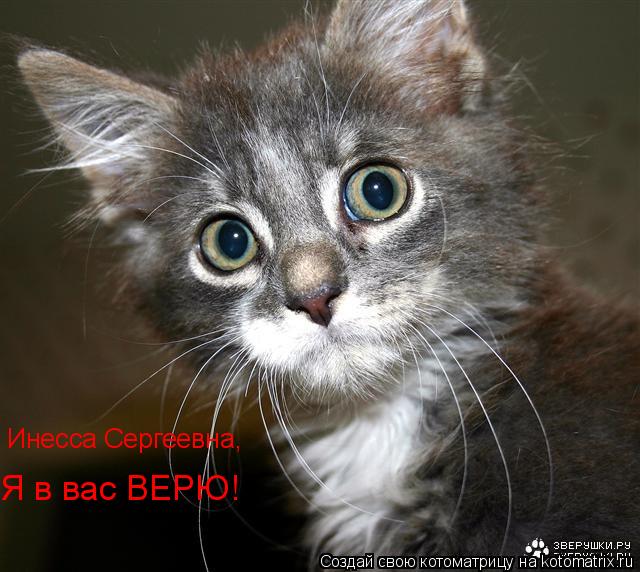 Инесса Сергеевна, Я в вас ВЕРЮ!... Котоматрица: Инесса Сергеевна, Я в вас ВЕРЮ!