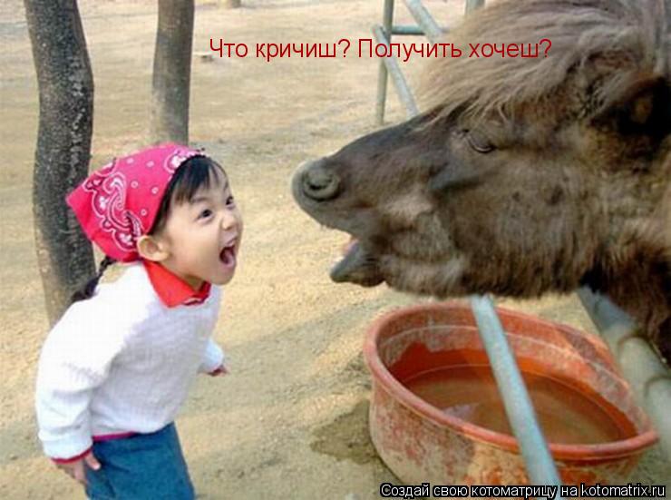 Котоматрица: Что кричиш? Получить хочеш?