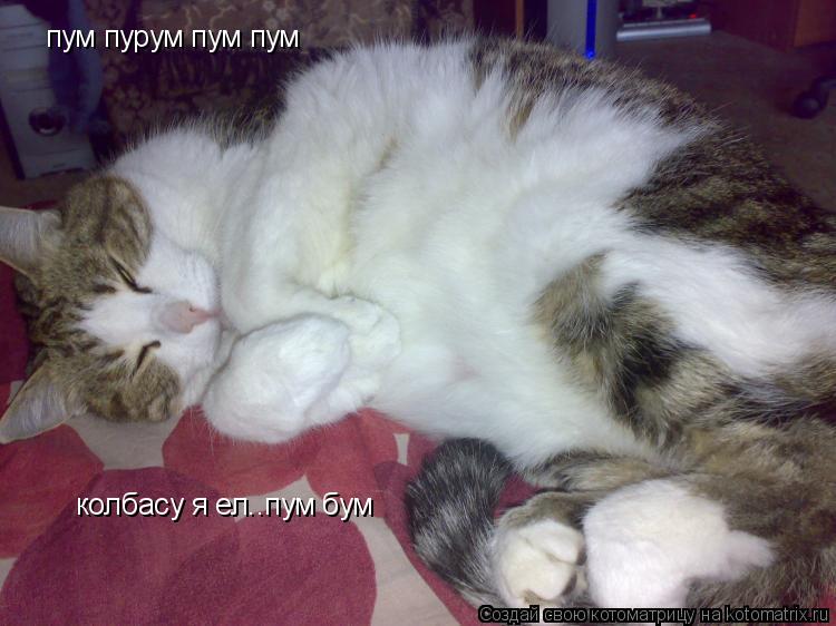 пум пурум пум пум колбасу я ел..пум бум... Котоматрица: пум пурум пум пум колбасу я ел..пум бум