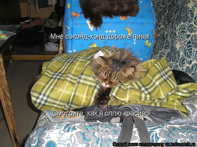 Мне сэконд-хэнд дороже пива! Смотрите, как я сплю красиво!... Котоматрица: Мне сэконд-хэнд дороже пива! Смотрите, как я сплю красиво!