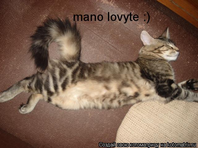 mano lovyte :)... Котоматрица: mano lovyte :)