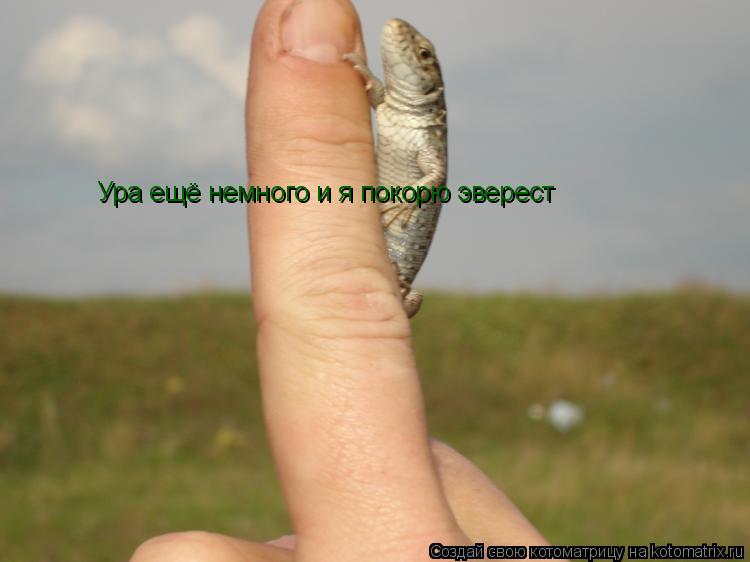 Котоматрица: Ура ещё немного и я покорю эверест